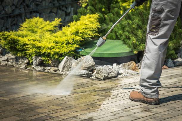 Boat and Dock Cleaning in La Crescent, MN