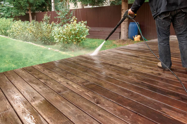 Best Dumpster Area Cleaning  in La Crescent, MN